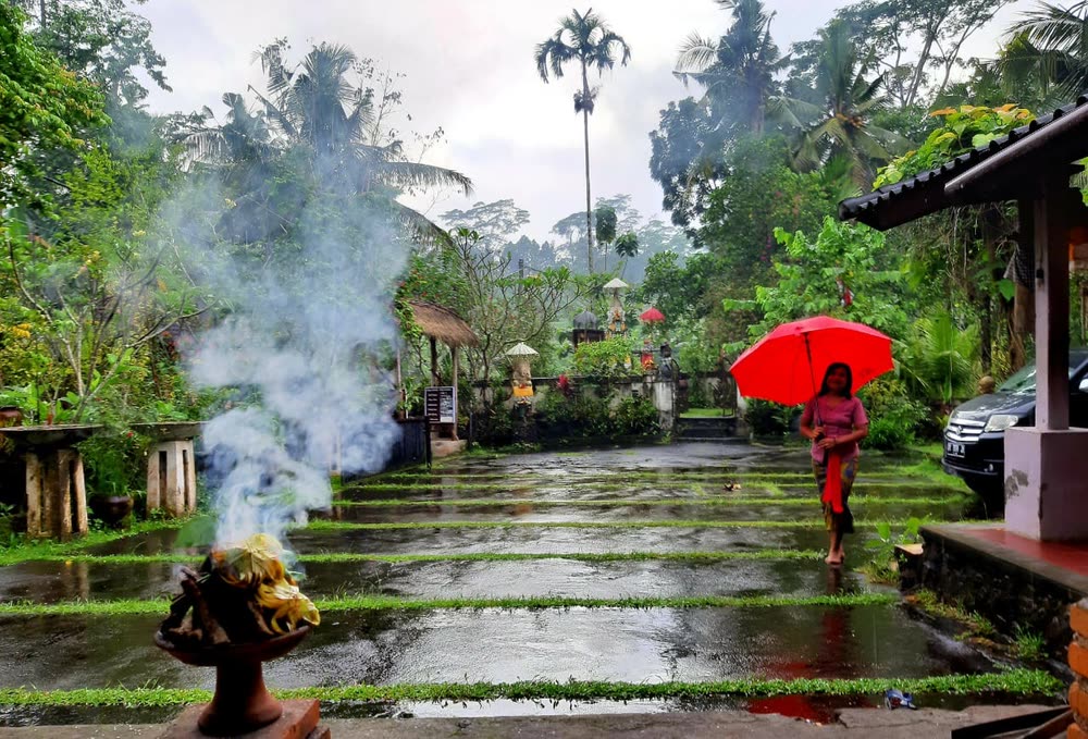 Balinese woman with a red umbrella crossing a rain-soaked courtyard in Sidemen, incense smoke rising from a morning offering